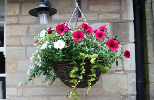 Croxton Kerrial Bed & Breakfast | The Tollemache Arms