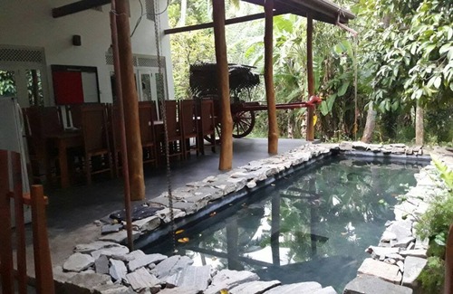 Polpithigama House | The Tree