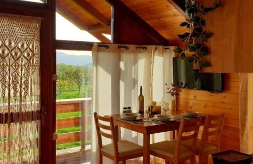 Zitsa Apartment | The Treehouse of The Dragon