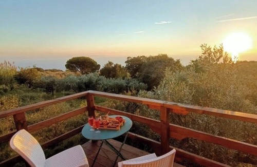 Nocera Terinese Ski Chalet | The Treehouse - Treehouse at Golden Camp
