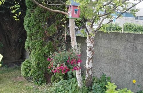 Waterford Bed & Breakfast | The Vee Guest Accommodation