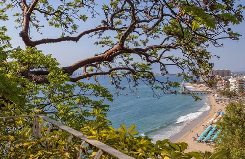 Amapas House | The Verano Estate - Private 11 Bedrooms, Fully staffed, Private Chef