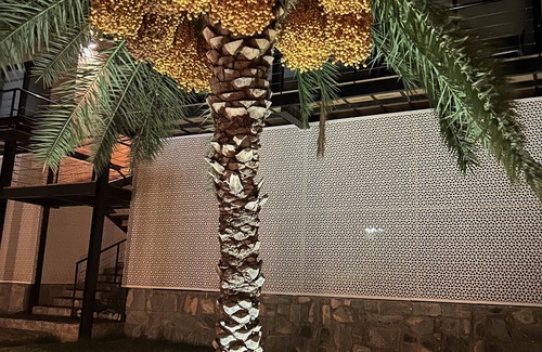 Al Hamra Hotel | The View