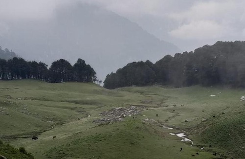 Rampur Cabin | The Vinshar Bagha Sarahan