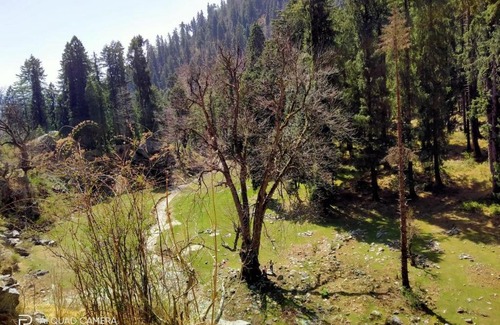 Rampur Cabin | The Vinshar Bagha Sarahan