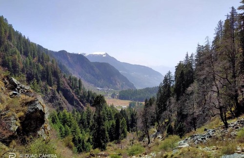 Rampur Cabin | The Vinshar Bagha Sarahan