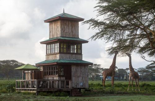 Naivasha House | The Watch Tower 360' Bed View Shower Understars