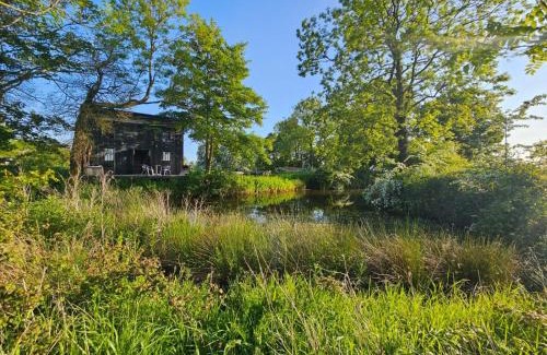 Woodbridge Apartment | The Water Shack - Amazing tiny house retreat