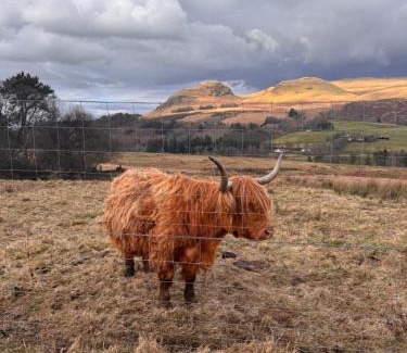 Glasgow Other | The West Highland Way Campsite & Campervan Accommodation