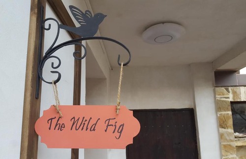 Shumen House | The Wild Fig
