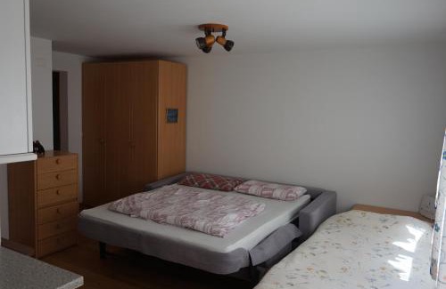 Arosa Apartment | The Window to the Mountains
