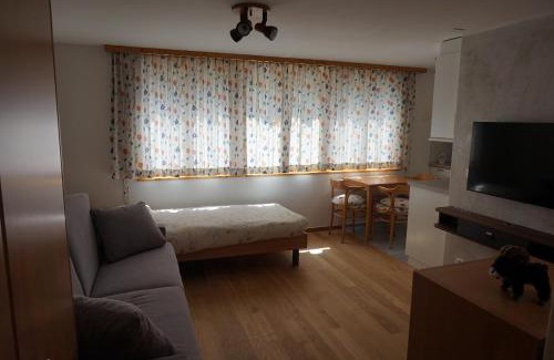 Arosa Apartment | The Window to the Mountains