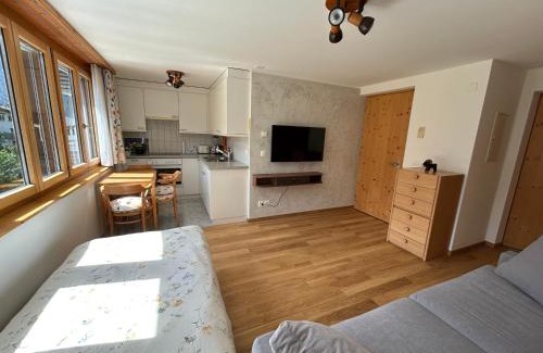 Arosa Apartment | The Window to the Mountains