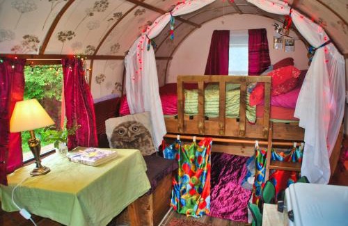 Fintown Other | The Wonderly Wagon