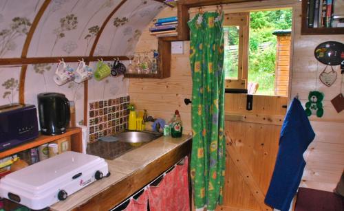 Fintown Other | The Wonderly Wagon