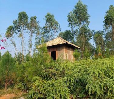 Soc Son Cabin | Thiền Buông Thả
