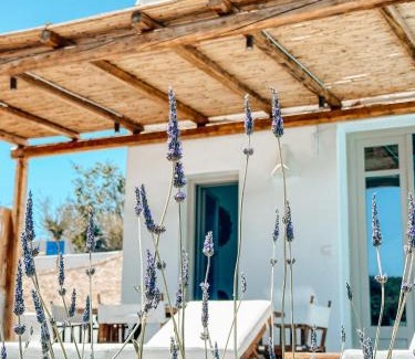 Exo Gialos Apartment | Thimari Lodge