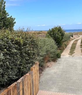Saint-Pierre-Quiberon Apartment | Thinic appartement VUE MER et SPA