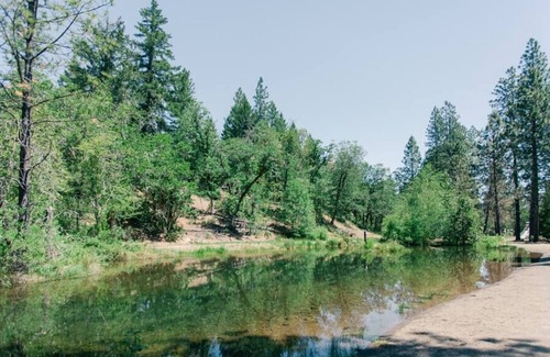 Cave Junction Cabin | This cabin is located in a campground/RV Park