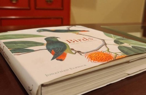 Boerne House | This house is a 3 bedroom(s), 2 bathrooms, located in Boerne, TX.