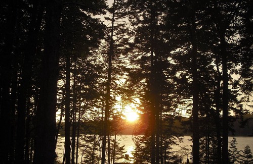 Stonington Cottage | THIS PROPERTY WILL NOT BE AVAILABLE TO RENT AFTER 2023!