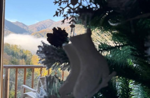 Khelvachauri Cottage | Thomas Hut