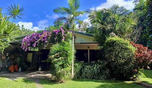 Thornton Beach Cabin | Thornton Beach Bungalows Daintree