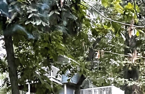 South Carolina Lowcountry Cottage | Three Story Treehouse Cottage Near Beach