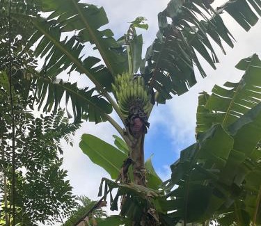 Soufriere Quarter Villa | Ti Anglete Villa