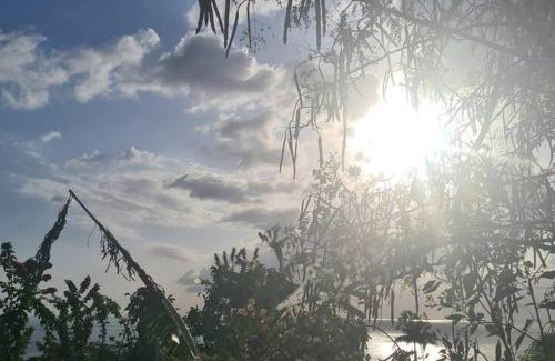 Le Carbet House | Ti Sucrier Jaune - Douceur caraïbe vue mer