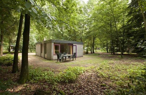 Epe House | Tidy bungalow with fireplace located in the Veluwe