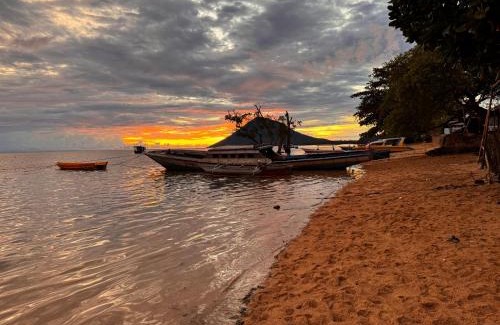 Bunaken House | Tiger fish homestay