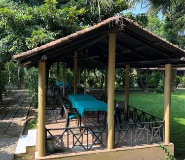 Sauraha Resort | Tiger Residency Resort