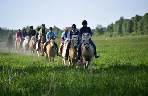 Hellamaa House | Tihuse Horsefarm B&B