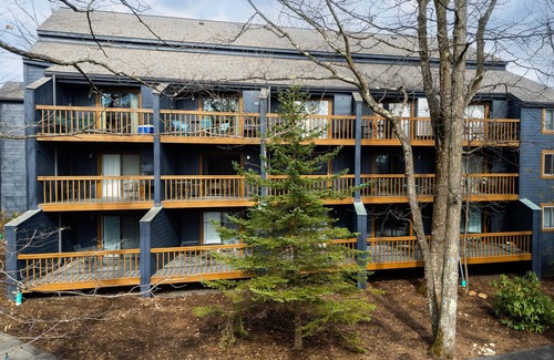 Wintergreen Condo | Timbers Studio 46 with Wintergreen Advantage