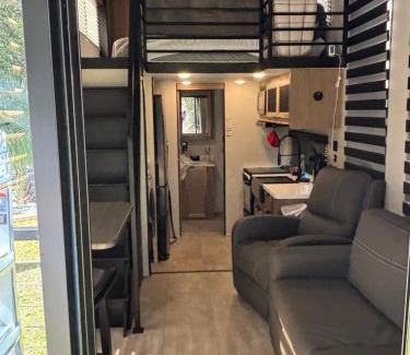 Florida Panhandle Other | Timberwolf in the Park