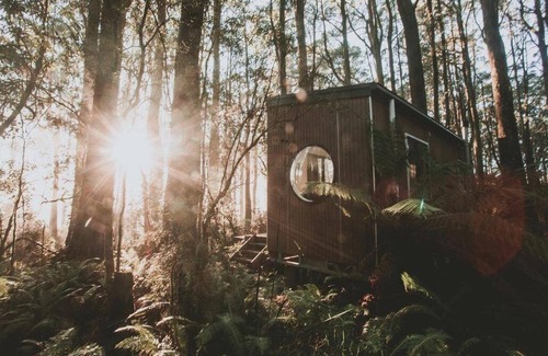 Benwerrin Cabin | Tiny- ECO House -Kensho- WITHIN THE OTWAY NATIONAL PARK, GREAT OCEAN ROAD LORNE