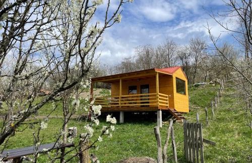 Vultureni House | Tiny Heaven Chidea