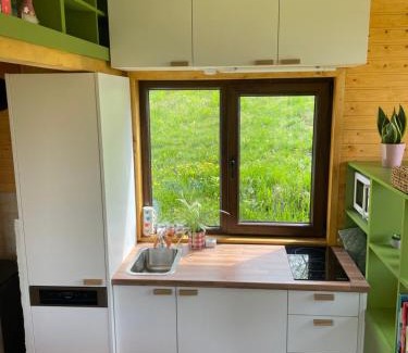 Vultureni House | Tiny Heaven Chidea