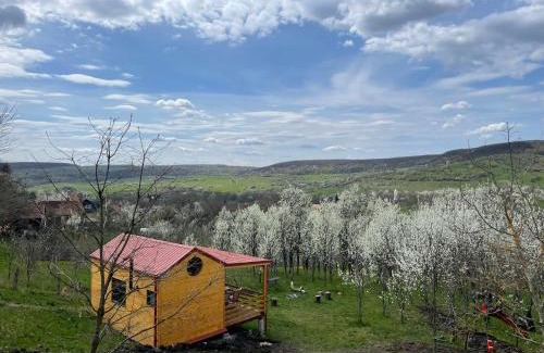 Vultureni House | Tiny Heaven Chidea