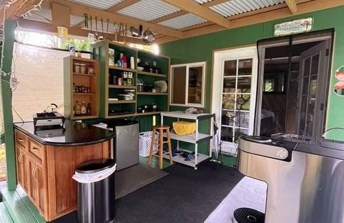 Fern Acres Cabin | Tiny home hosted by Neil