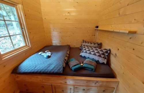 Saalfeld-Saale Apartment | Tiny House am Teich