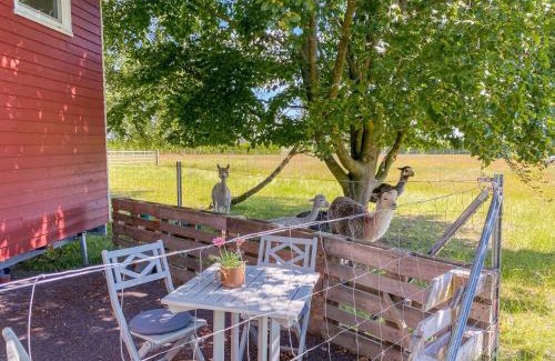Rubkow House | Tiny House auf der Alpaka Farm