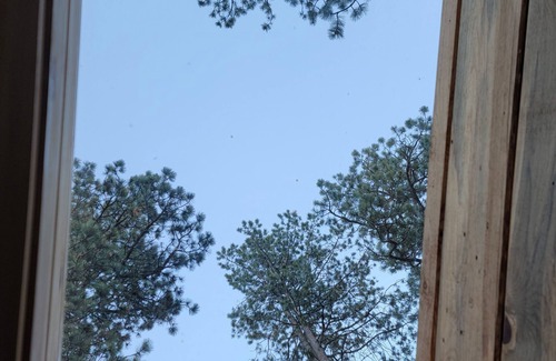 Deadwood Cottage | Tiny House in the meadow on Two Bit Creek. Minutes from Deadwood and Sturgis.