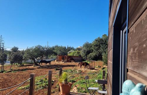 Sao Clemente Ski Chalet | Tiny House Loul Algarve no1