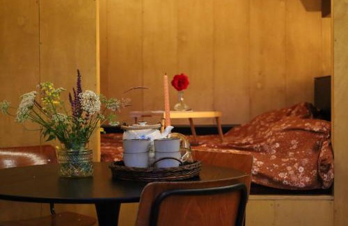 Vledder Ski Chalet | Tiny house met privé hottub