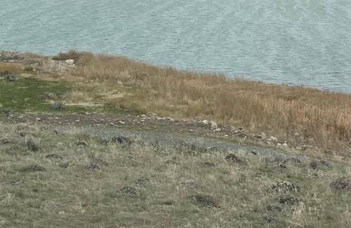 Stratford Cabin | Tiny House on Moses Lake with Dock, Boat Launch, Large deck w/ Hot Tub and grill