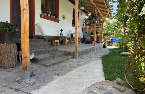 Ramnicu Valcea House | Tiny Mara