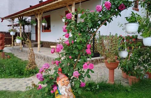 Ramnicu Valcea House | Tiny Mara