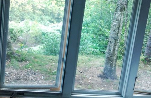 Warren House | Tiny river Cabin Electricity/heat/shower